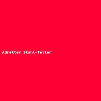 Adretter Stahl-Teller